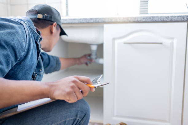 Best Plumbing Inspection Services  in Rolling Meadows, IL